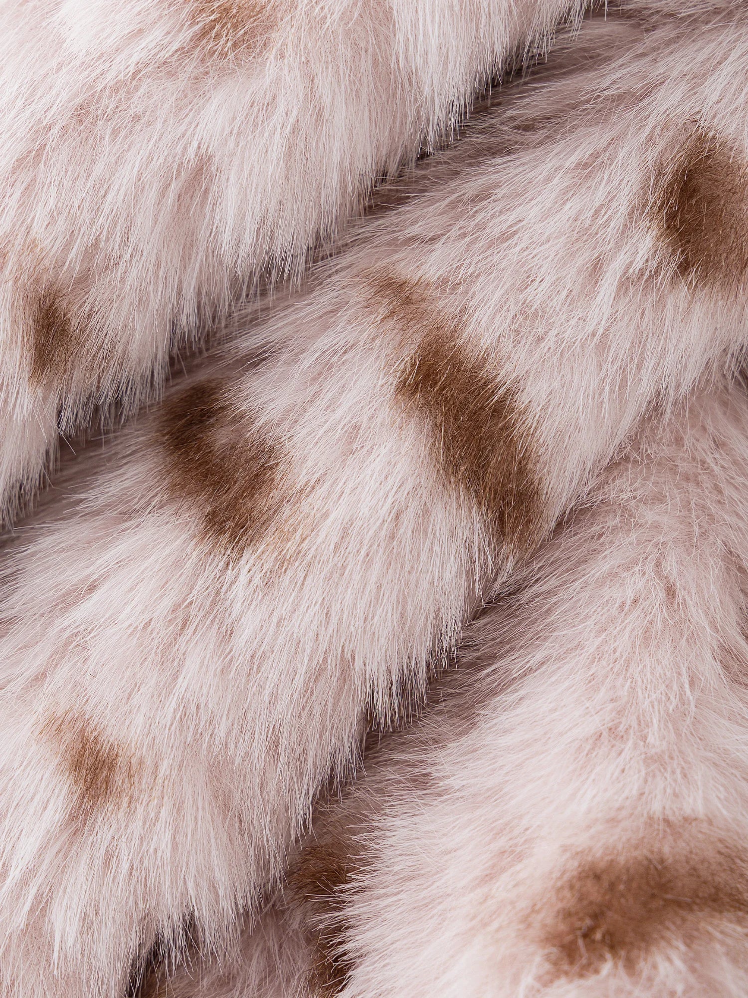 S81ca7e5440ea4bda825eed689e1982d6d