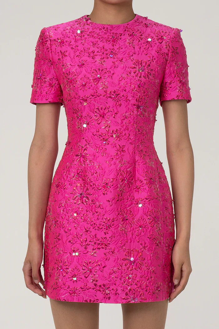 Rosa broderad miniklänning med blommor